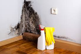 Best Emergency Mold Remediation  in Merryville, LA